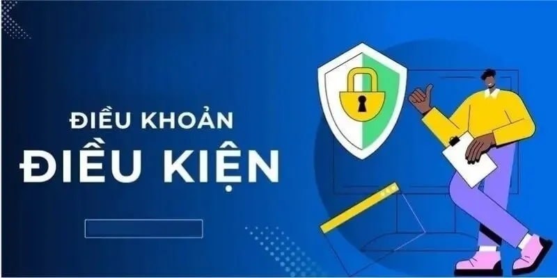 Cập nhật điều khoản và điều kiện ở đâu?