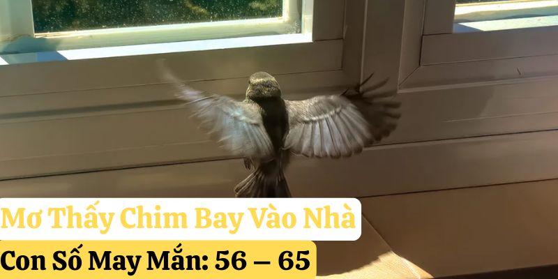 123win mơ thấy chim đánh gì