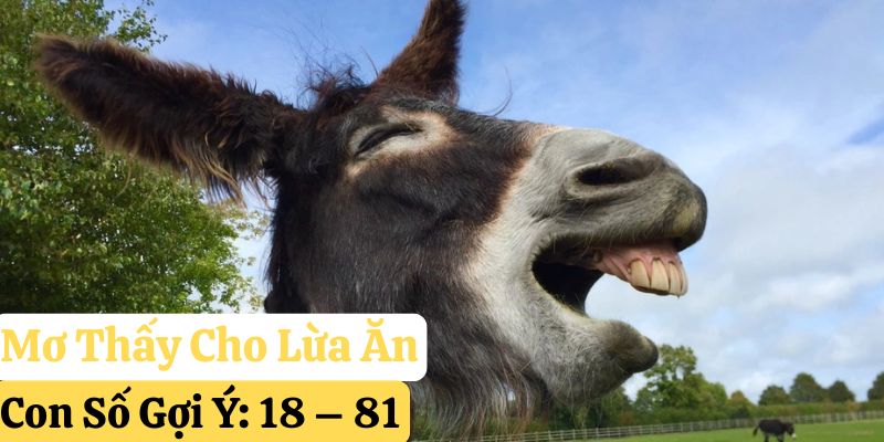 123win nằm mơ thấy lừa đánh gì