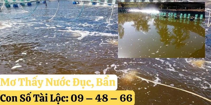 123win mơ thấy nước