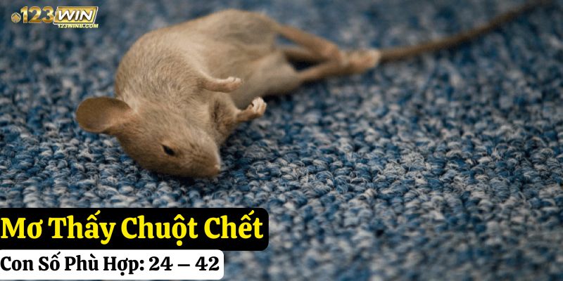 123win nằm mơ thấy chuột