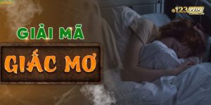 giải mã giấc mơ 123win