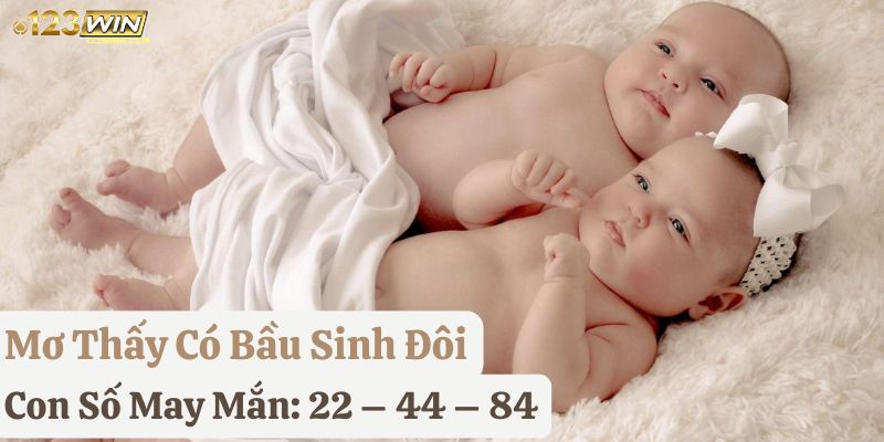 giải mã mơ có bầu 123win