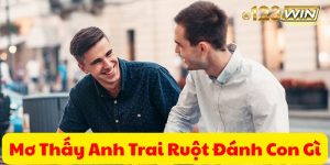 mơ thấy anh trai ruột đánh con gì 123win