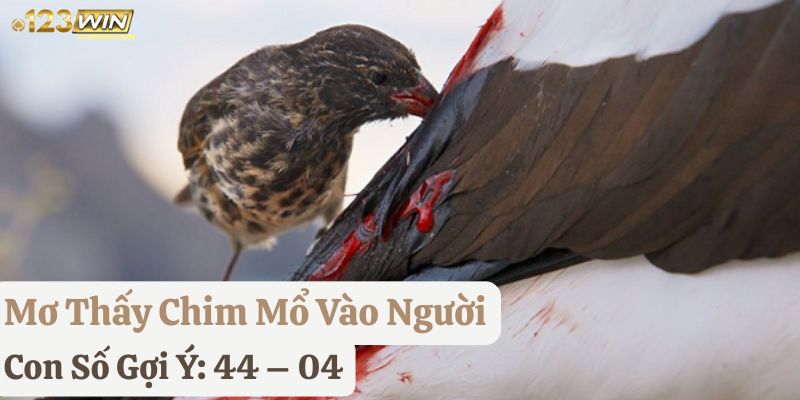 mơ thấy chim 123win