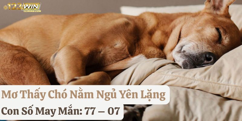 mơ thấy chó 123win