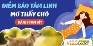 mơ thấy chó đánh con gì 123win