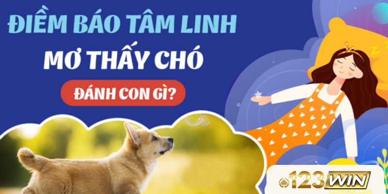 mơ thấy chó đánh con gì 123win