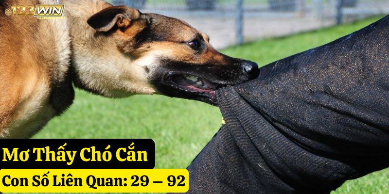 mơ thấy con chó 123win