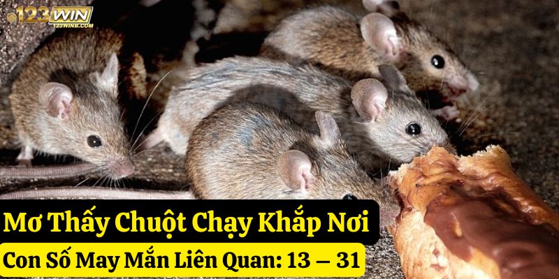 mơ thấy con chuột 123win