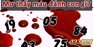 mơ thấy máu 123win
