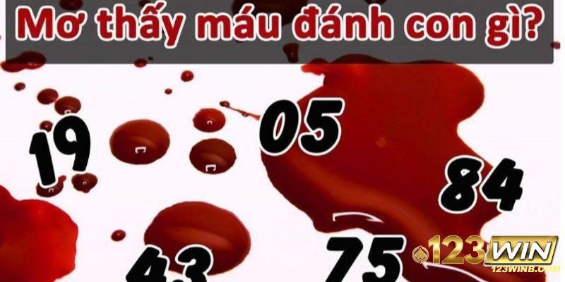 mơ thấy máu 123win
