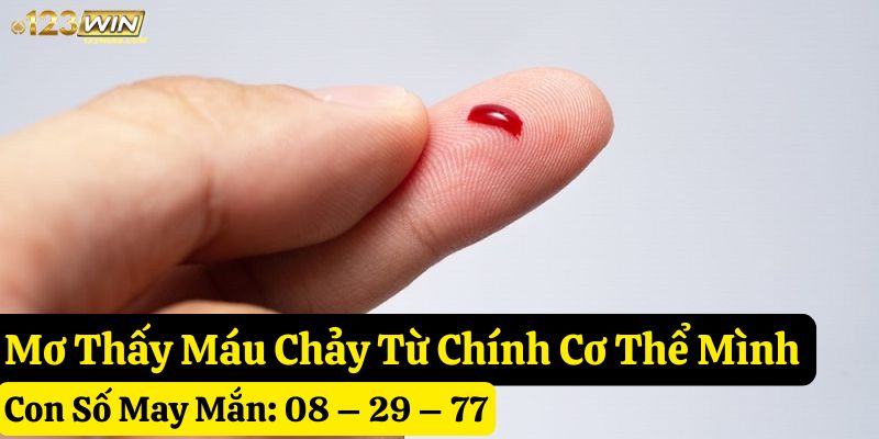 mơ thấy máu chảy 123win