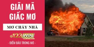 nằm mơ thấy cháy nhà 123win