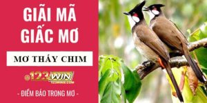 nằm mơ thấy chim đánh số gì 123win