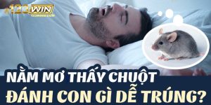 nằm mơ thấy ưchuột 123win