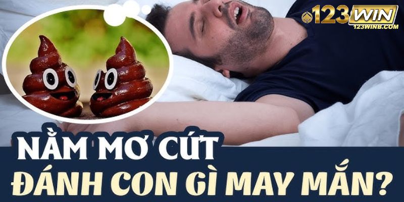 nằm mơ thấy cứt 123win