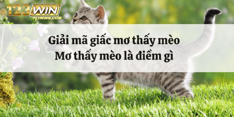 nằm mơ thấy mèo 123win