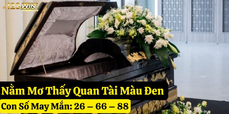 quan tài mơ 123win