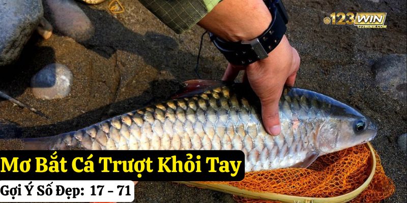 mơ bắt cá bằng tay không