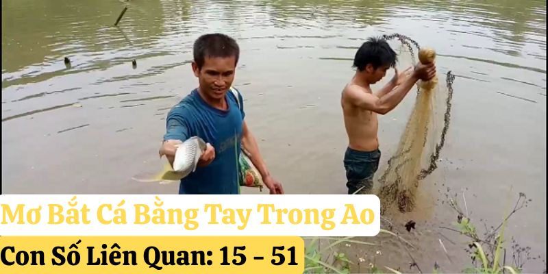mơ bắt cá bằng tay