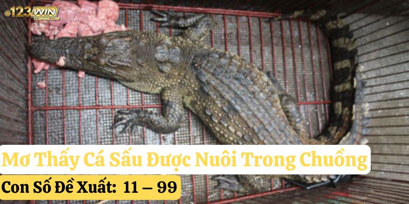 nằm mơ thấy cá sấu