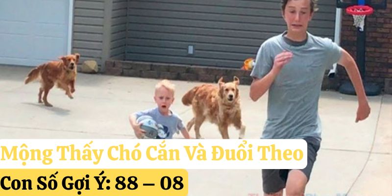 123win mơ thấy chó cắn