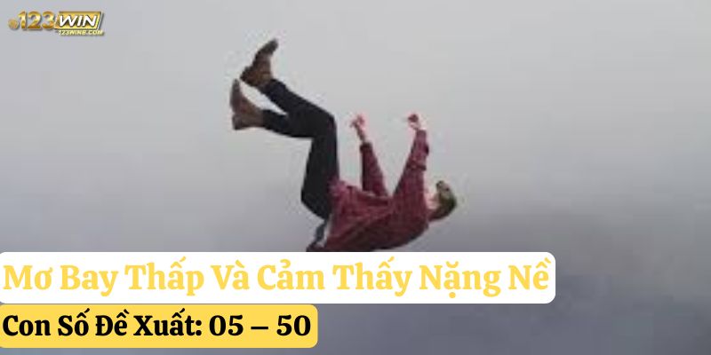 nằm mơ mình đang bay