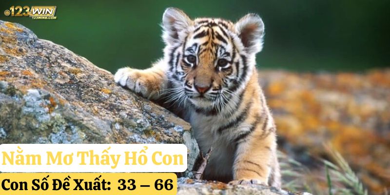 nằm mơ thấy hổ