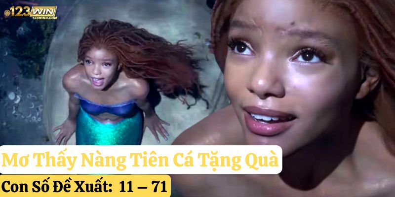 mơ thấy nàng tiên cá 123win