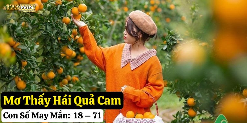 mơ thấy quả cam