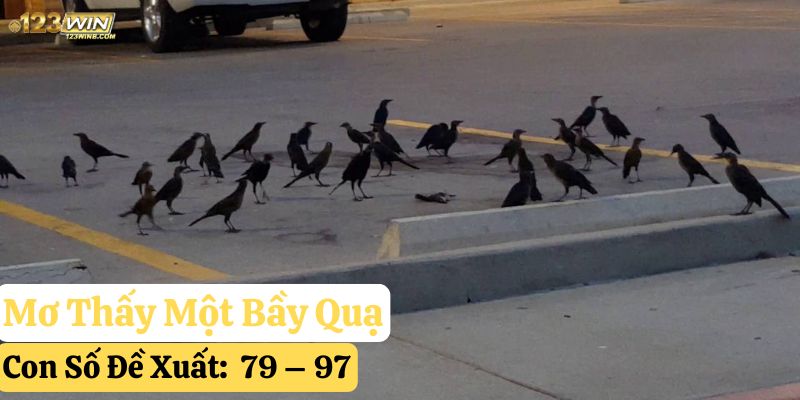 nằm mơ thấy quạ