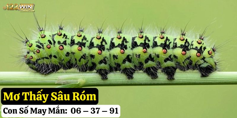 mơ thấy sâu bọ