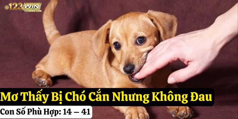 123win nằm mơ chó cắn