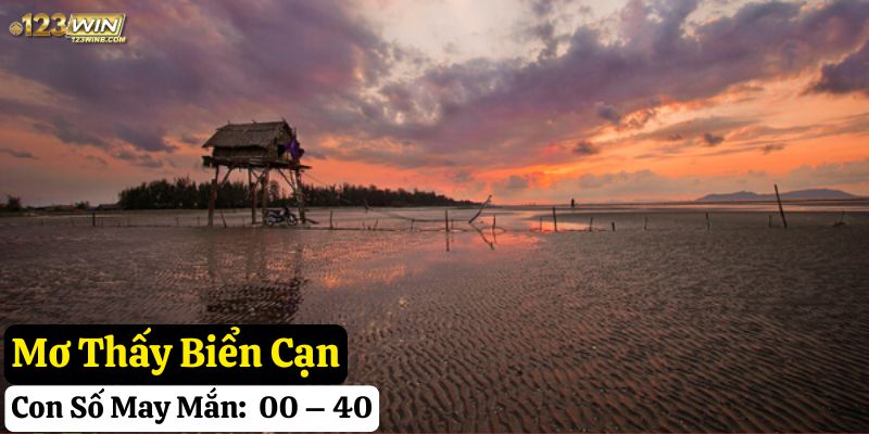 mơ thấy biển đánh gì