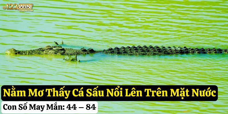 mơ thấy cá sấu