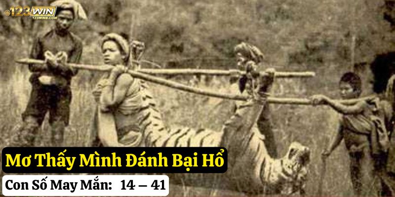 nằm mơ thấy con hổ