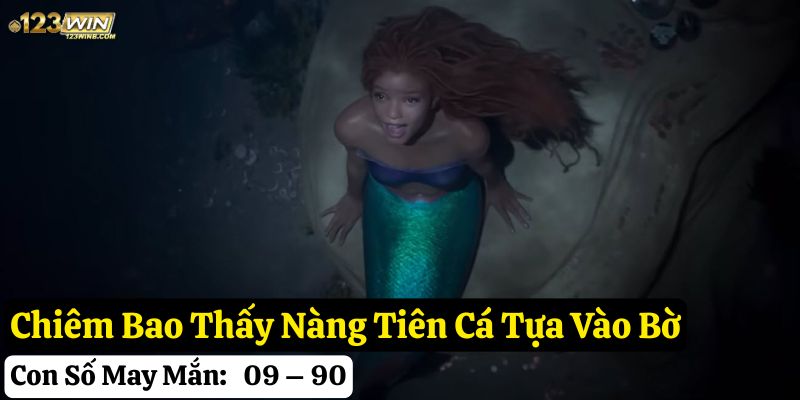 mơ thấy nàng tiên cá