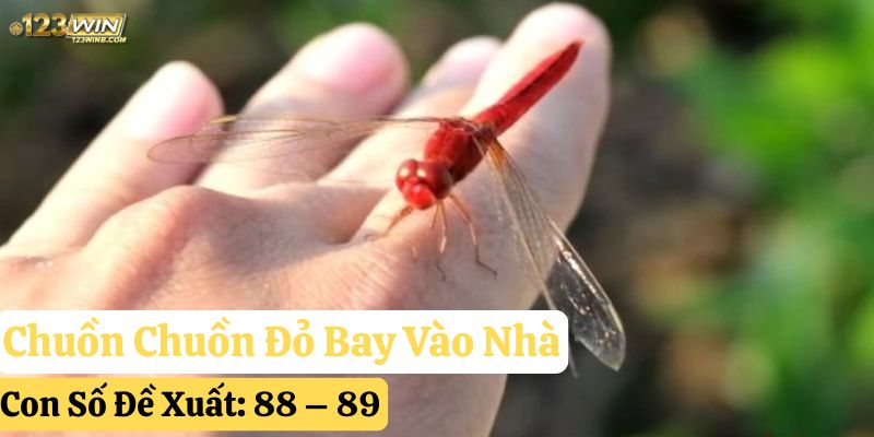 chuồn chuồn bay vào nhà