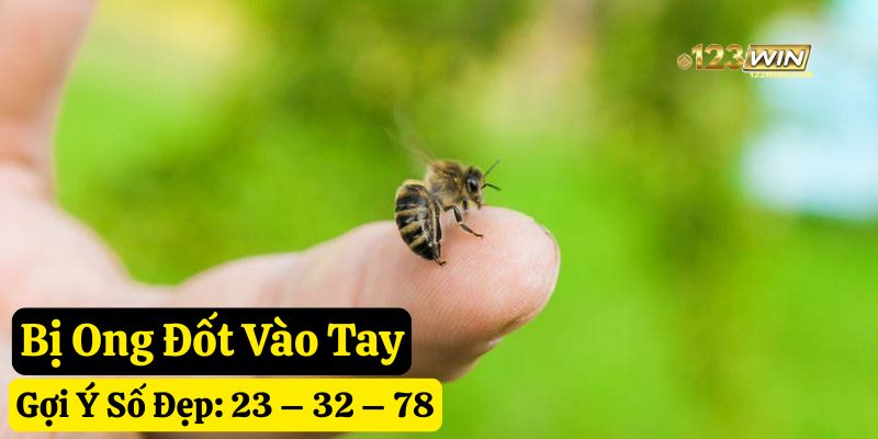 tự nhiên bị ong đốt đánh số gì