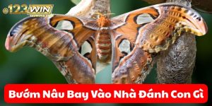 bướm nâu bay vào nhà đánh con gì 123win