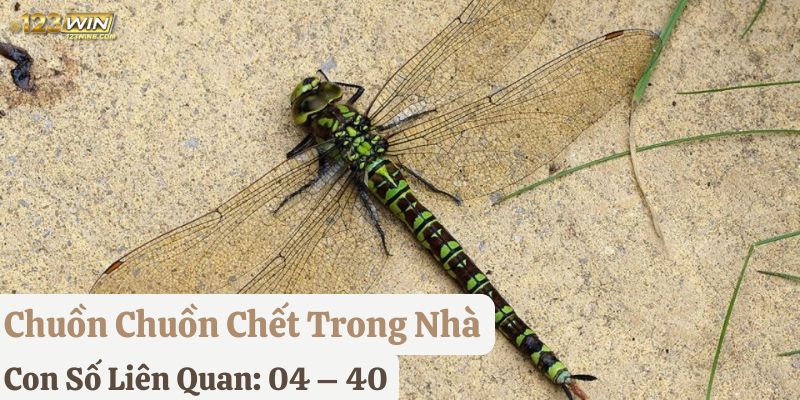 hiện tượng chuồn chuồn bay vào nhà