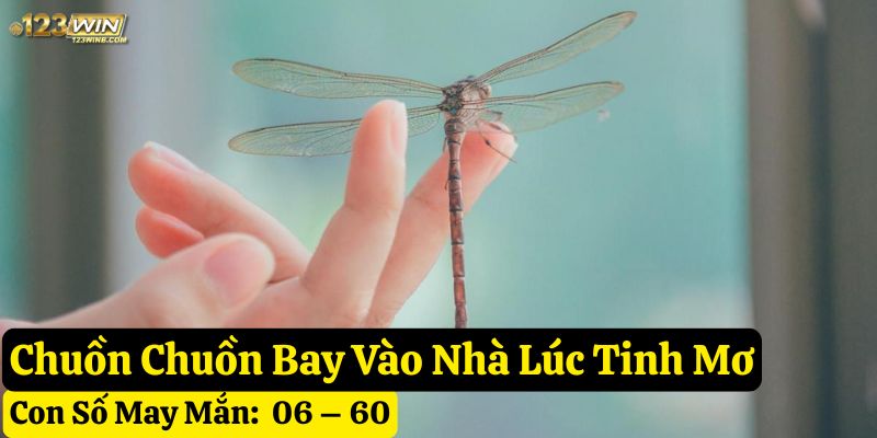 thấy chuồn chuồn bay vào nhà