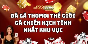 đá gà thomo 123win thumb