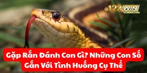 gặp rắn đánh con gì 123win