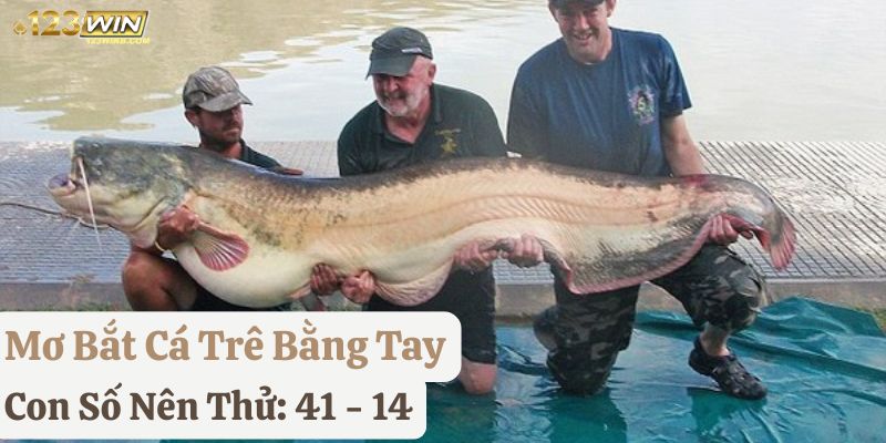 mơ bắt cá bằng tay đánh gì