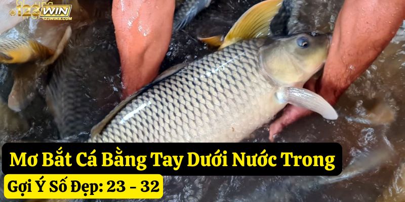 mơ bắt cá bằng tay đánh con gì