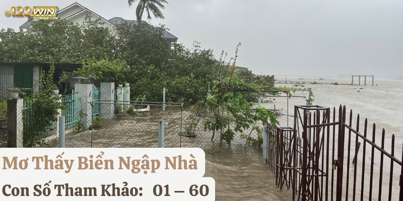 mơ thấy biển đánh con gì