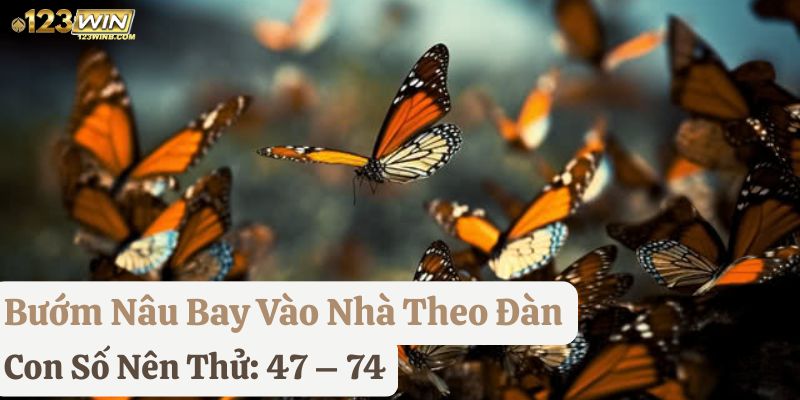 bướm nâu bay vào nhà đánh con gì