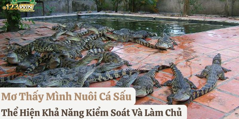 nằm mơ cá sấu